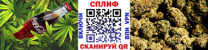 где купить наркотик  Няндома  Canna-Cookies конопля 