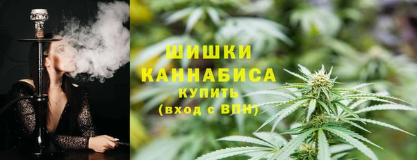 шишки Наволоки