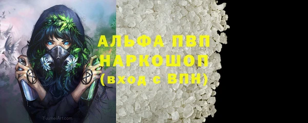 стафф Надым