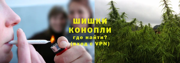 шишки Наволоки