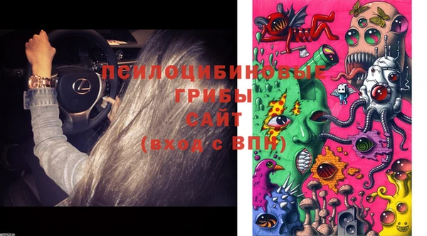 шишки Наволоки