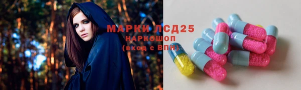стафф Надым