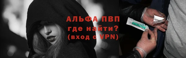 стафф Надым