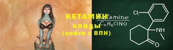 шишки Наволоки