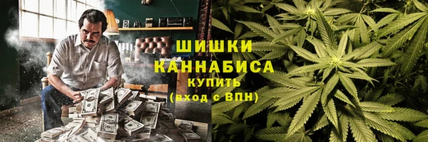 стафф Надым
