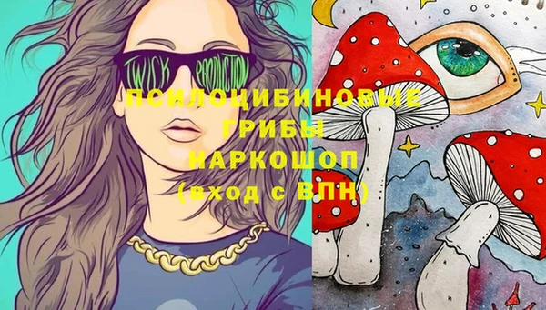 шишки Наволоки