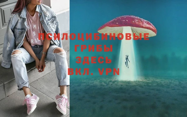 крисы Навашино