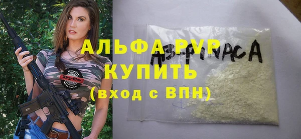 стафф Надым