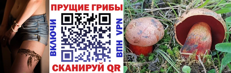 Псилоцибиновые грибы Psilocybine cubensis где купить наркотик darknet состав Няндома
